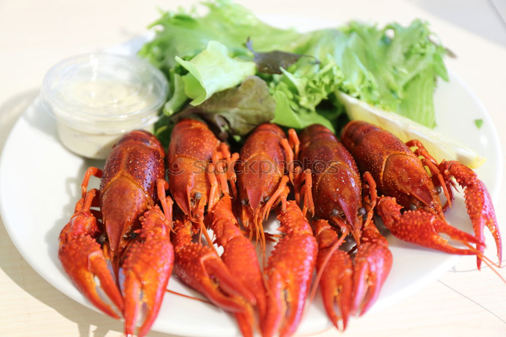 Similar – Image, Stock Photo Food photo II