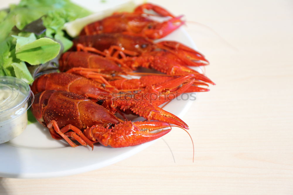Similar – Image, Stock Photo Food photo II