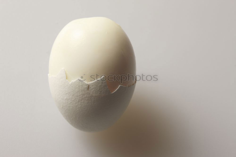 Similar – Foto Bild Ei des Kolumbus