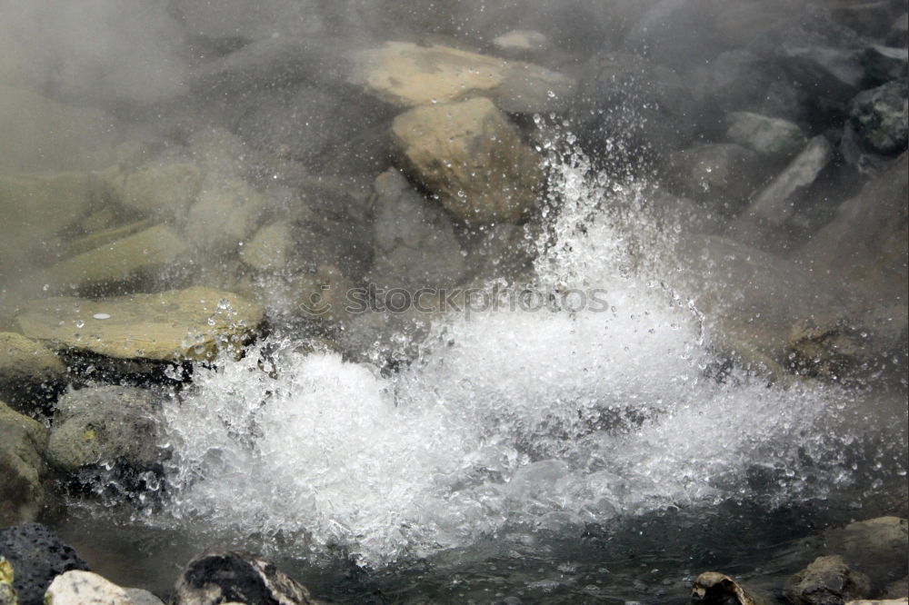 Similar – Image, Stock Photo Preparation of meal on a fire