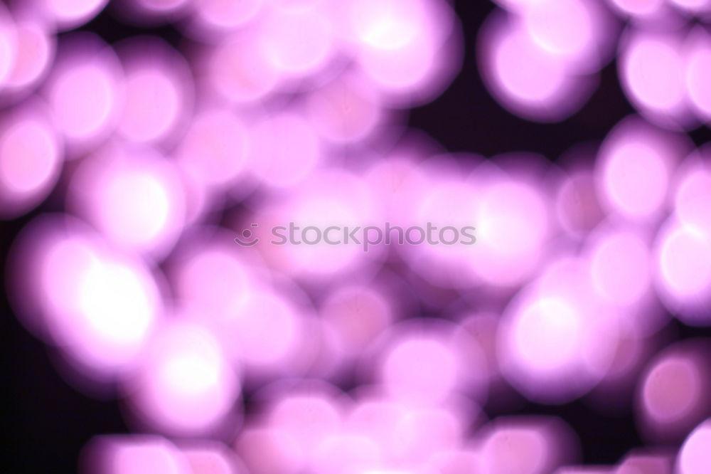 Similar – Image, Stock Photo purple christmas Winter