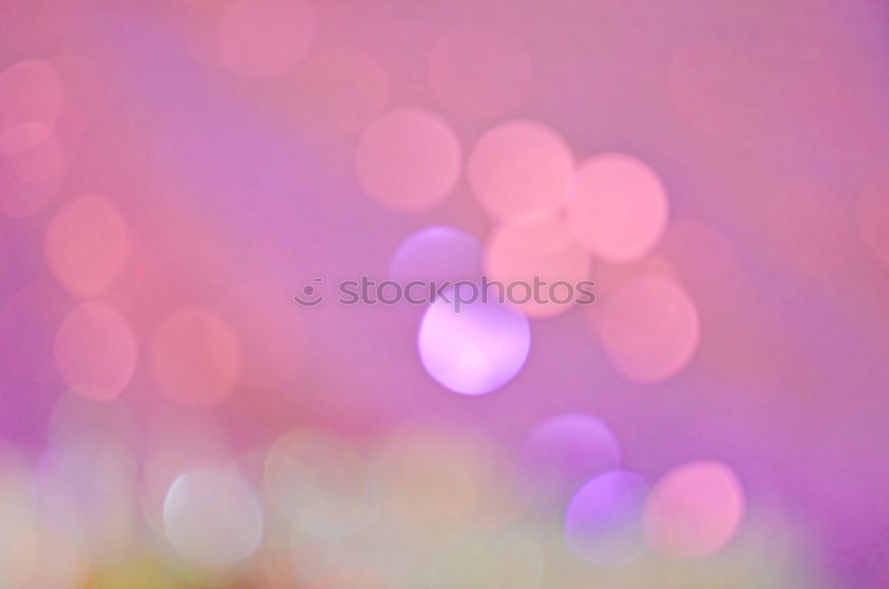 Similar – Image, Stock Photo purple christmas Winter