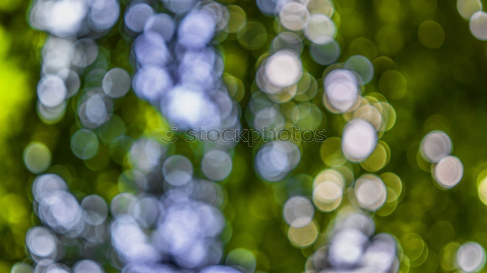 Similar – Image, Stock Photo meadow Environment Nature