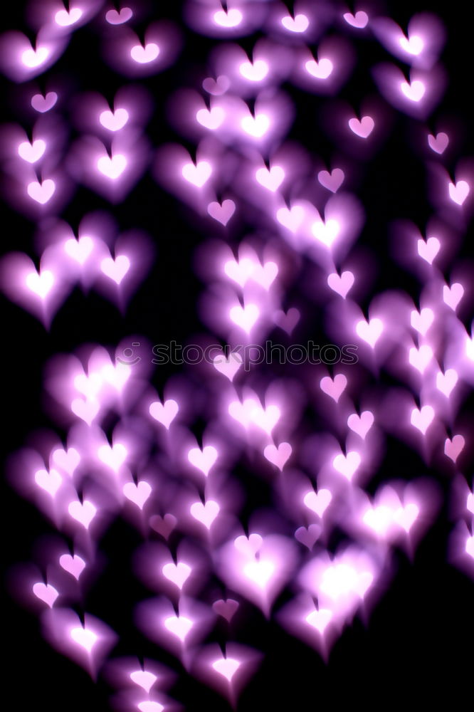 Similar – Image, Stock Photo Purple flowers Environment