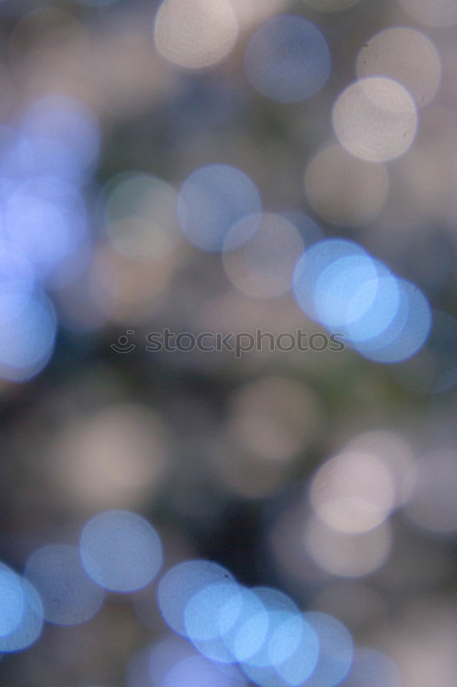 Image, Stock Photo Fall season.Dry yellow and orange leaves tangled in branches