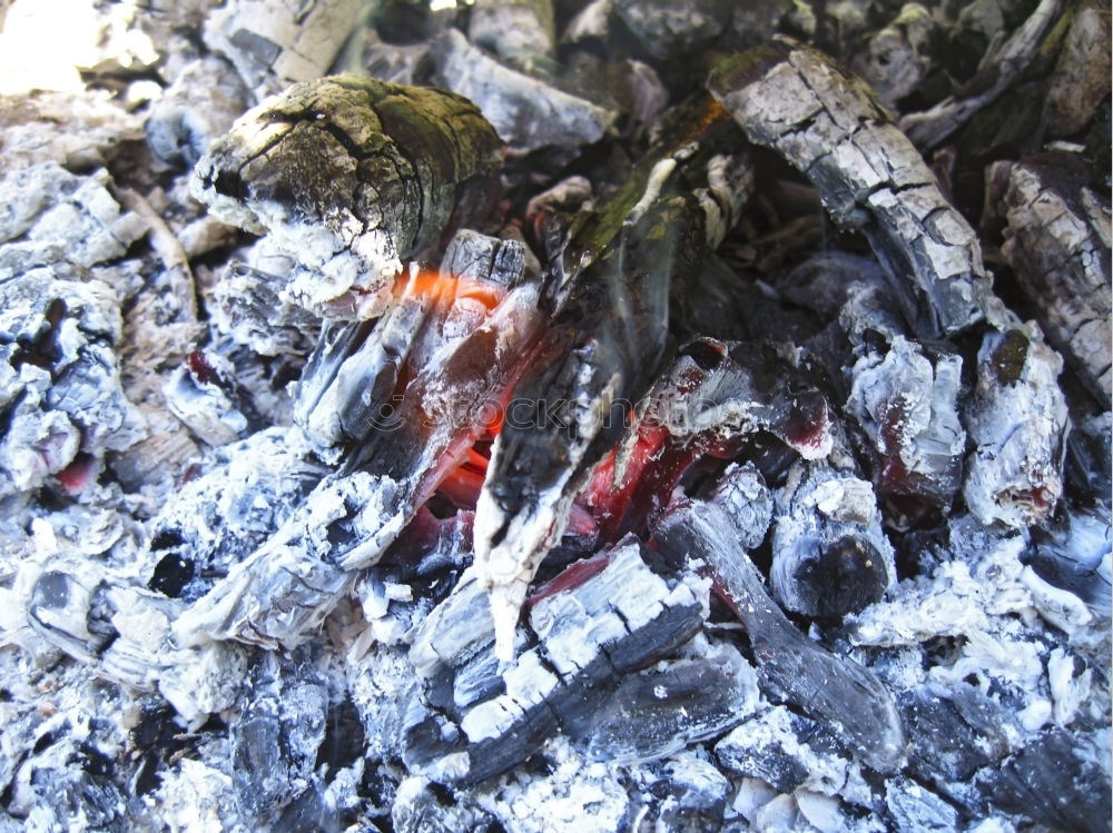 Similar – Image, Stock Photo barbecue coal Lunch Dinner