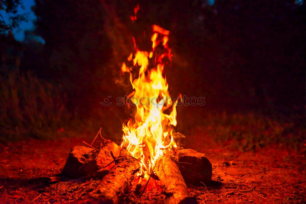 Similar – Image, Stock Photo firestarter Fire Summer