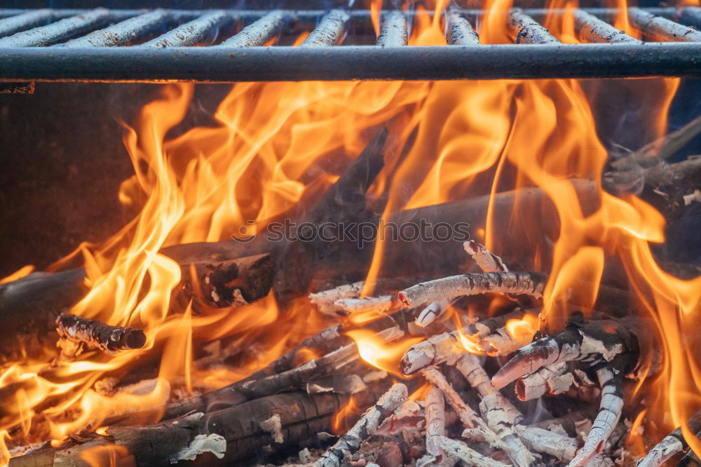 Similar – Image, Stock Photo barbecue delights Sausage