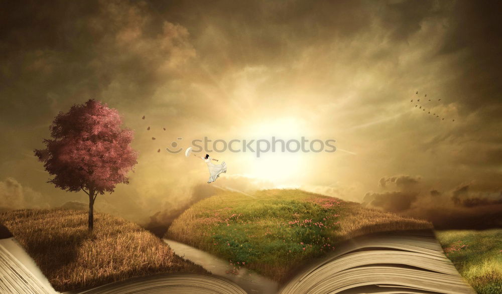 Similar – Foto Bild Lesezeichen harmonisch