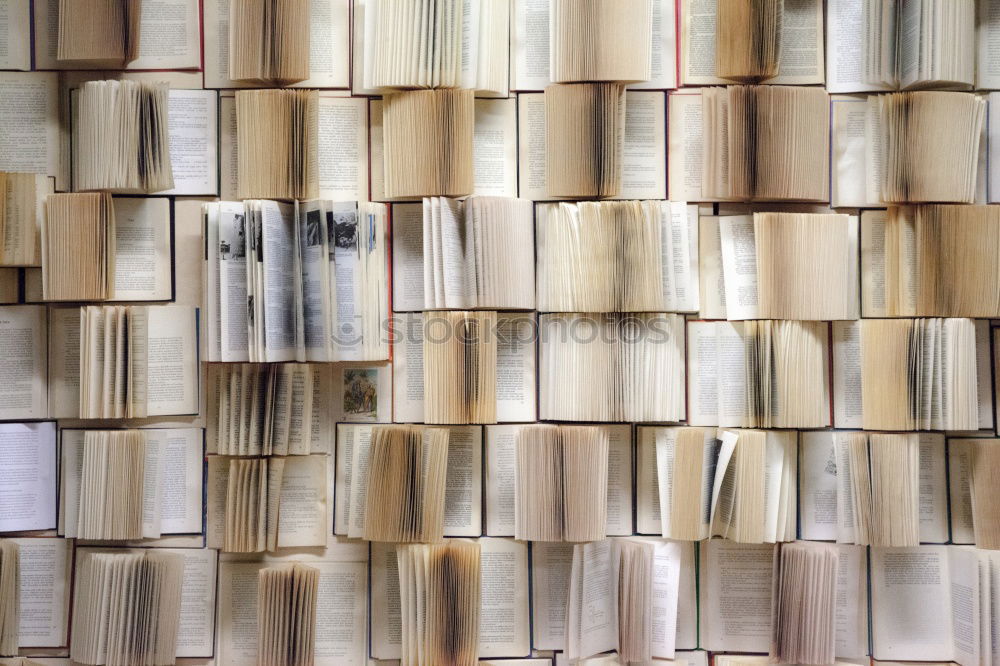 Similar – Image, Stock Photo organizational structure