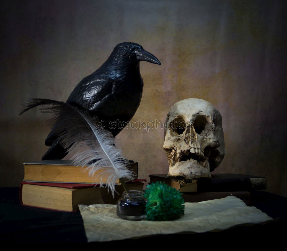 Similar – Vanitas with Skull, Candle, Book and Heart