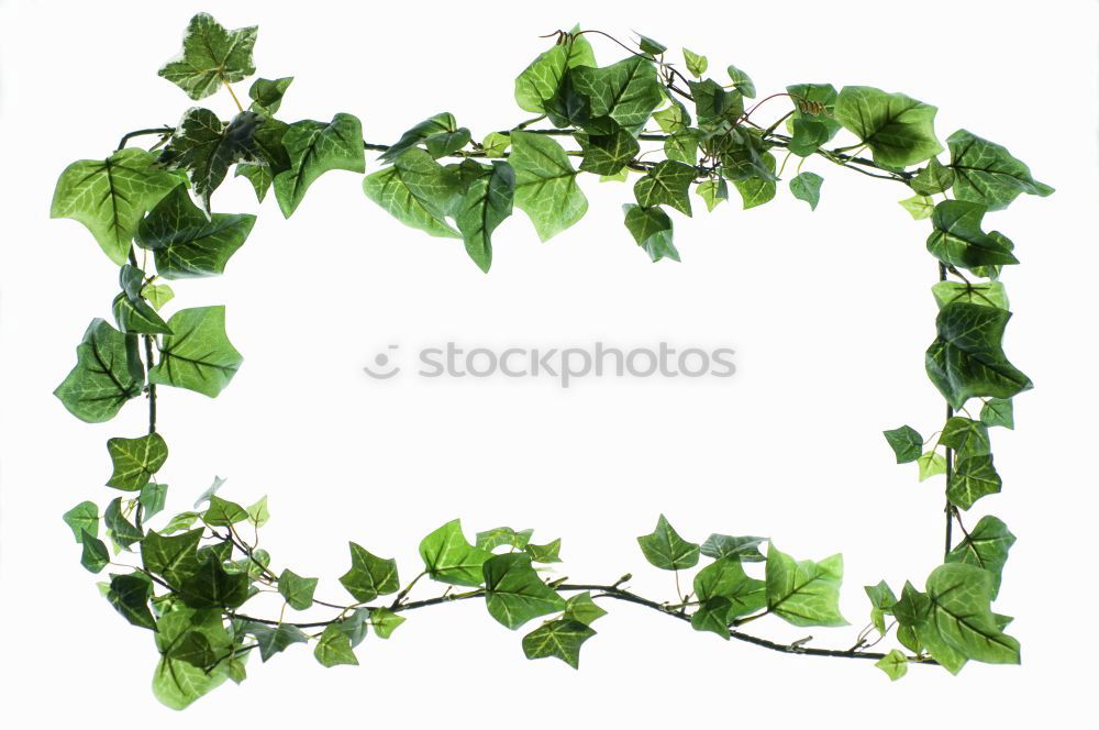 Similar – Image, Stock Photo green glasses Man