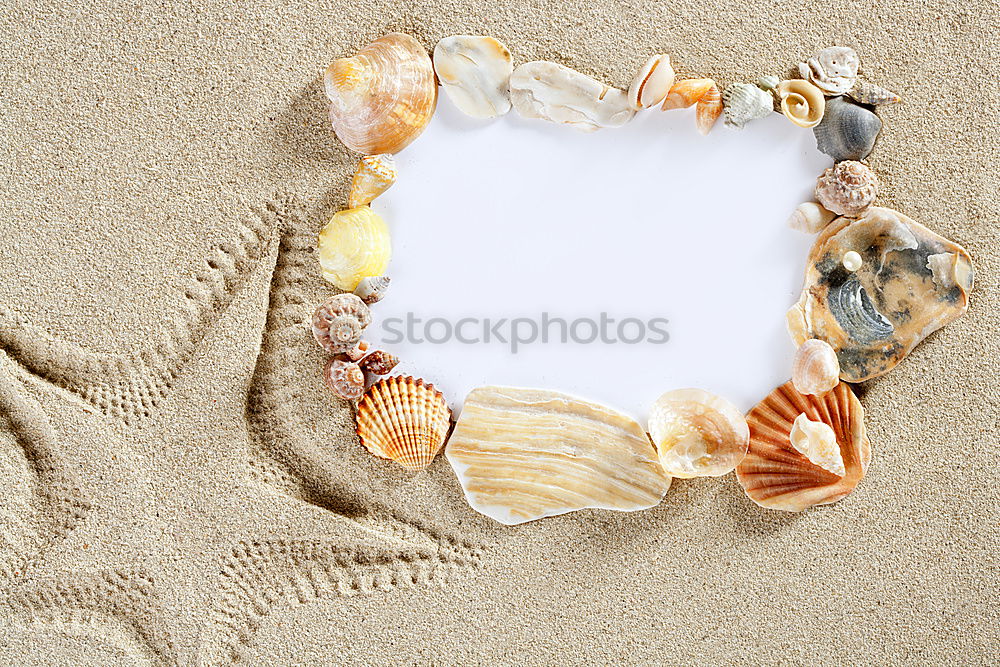 Similar – Image, Stock Photo Good mood glasses Summer