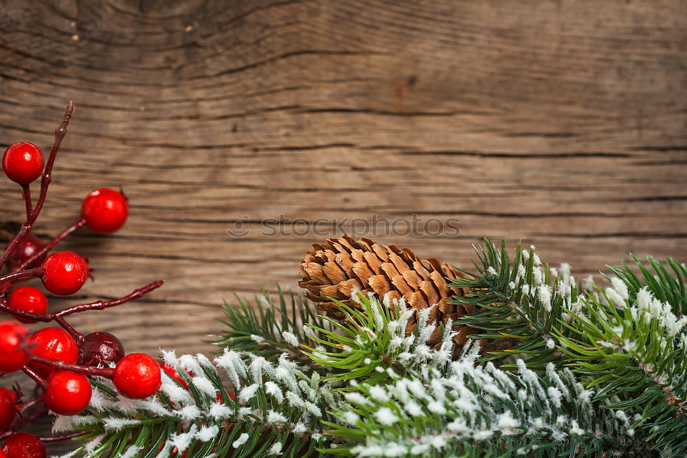 Similar – Image, Stock Photo Delicate Christmas wreath of pine cones on wooden background