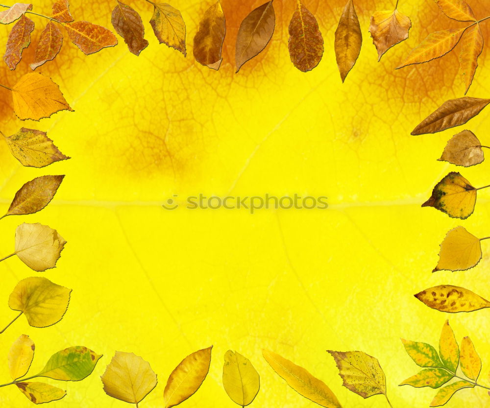 Image, Stock Photo #A# Designer Autumn Art