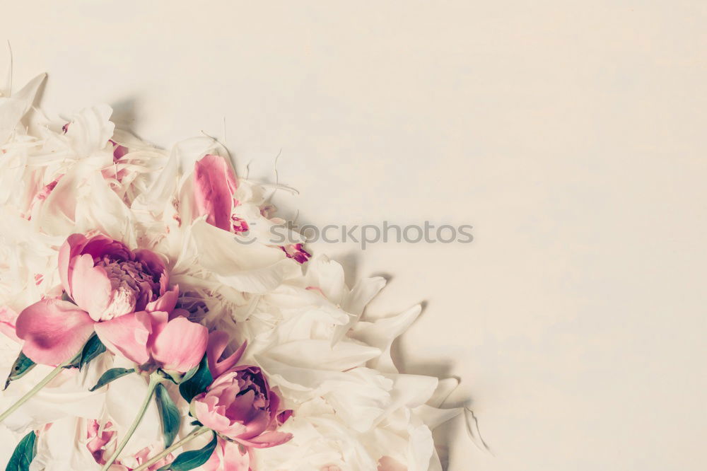 Similar – Image, Stock Photo Hands hold paper bag with autumn flowers and leaves