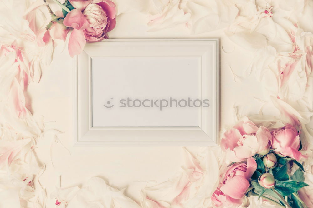 Similar – White blank card with pastel flowers and ribbon