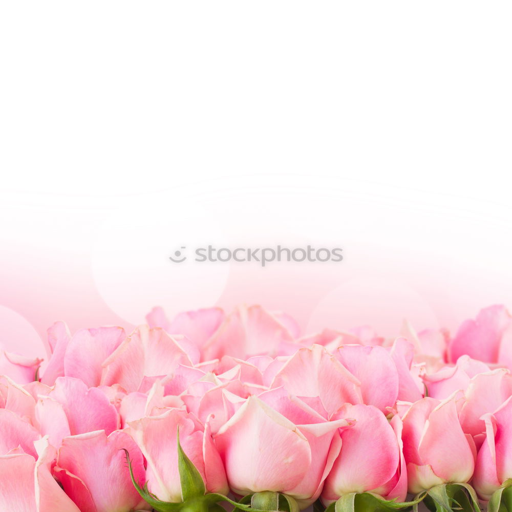 Similar – Peonies bouquet on table in living room