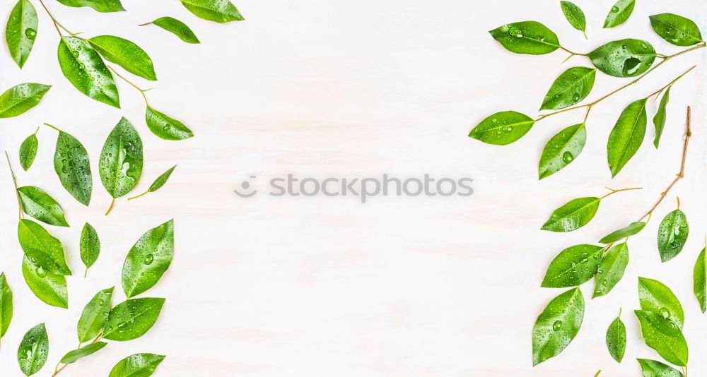 Similar – Image, Stock Photo Green Leaves Style Design