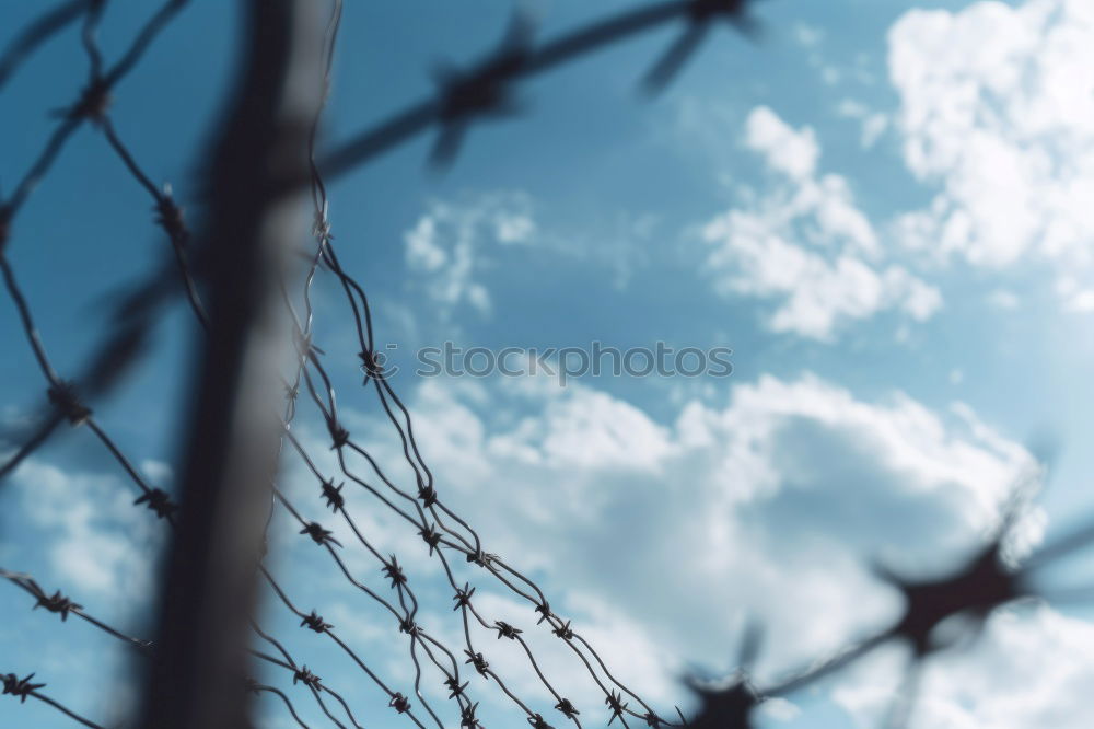 Similar – Fence with a barbed wire