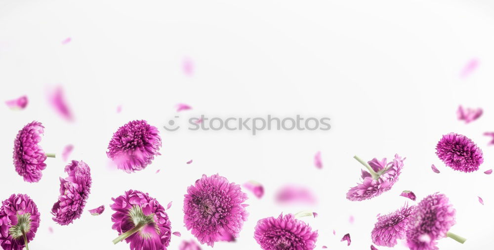 Similar – Image, Stock Photo fallen hearts l declaration of love