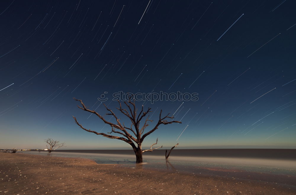 Similar – Image, Stock Photo Deep blue day at the beach