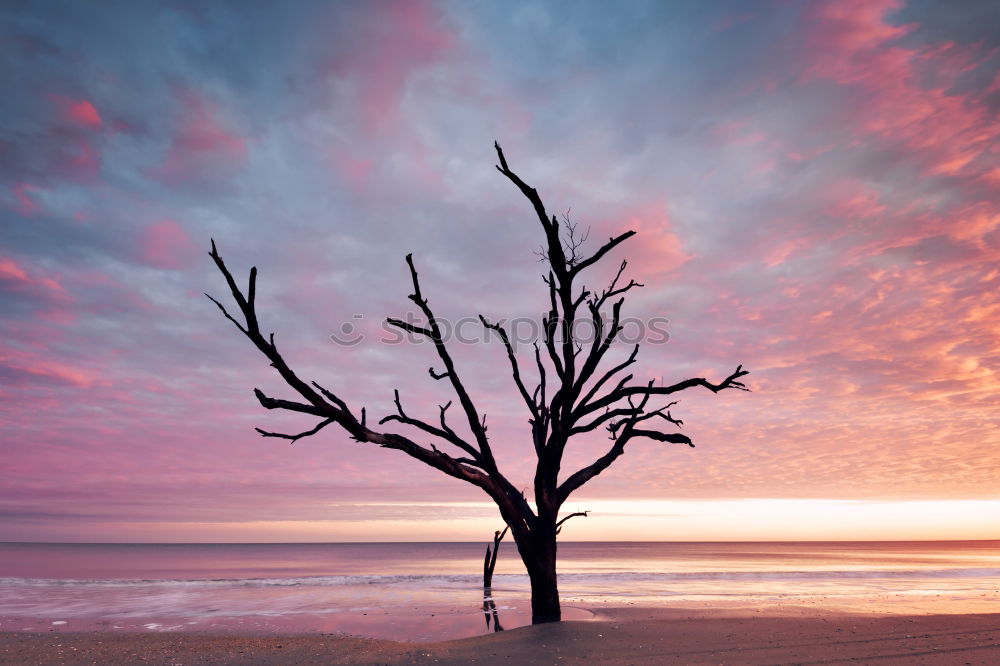 Similar – Image, Stock Photo Moonstone Beach Beautiful