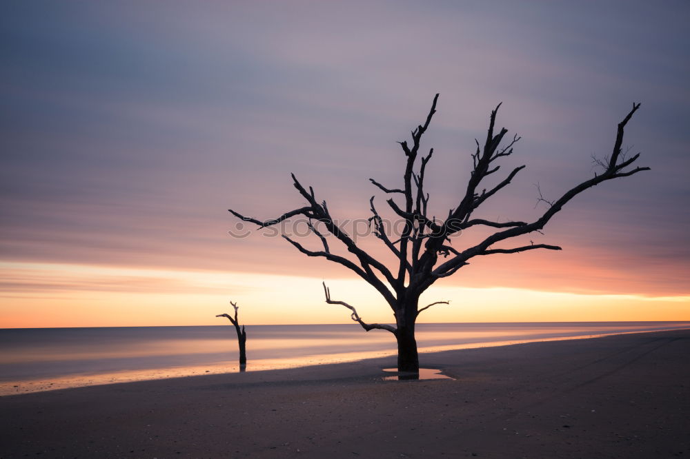 Similar – Image, Stock Photo Moonstone Beach Beautiful