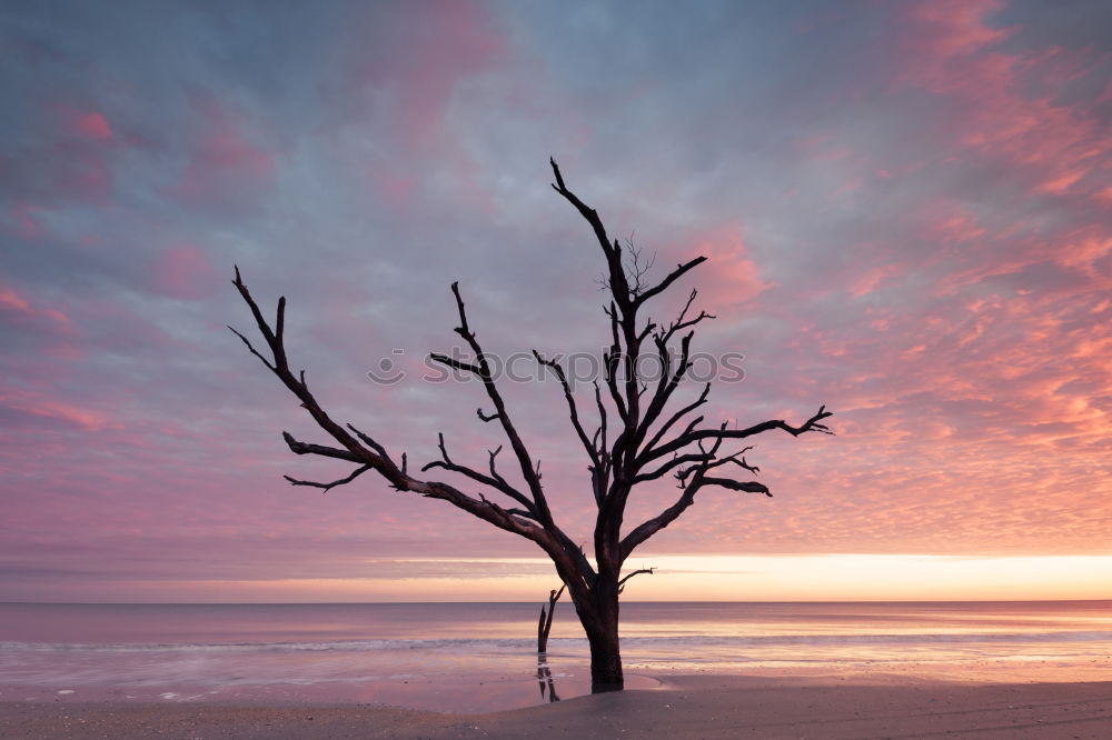 Similar – Image, Stock Photo Moonstone Beach Beautiful