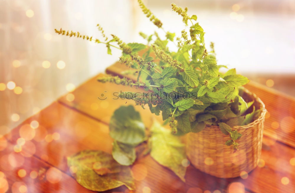 Similar – Growing vegetables in tubs on balcony