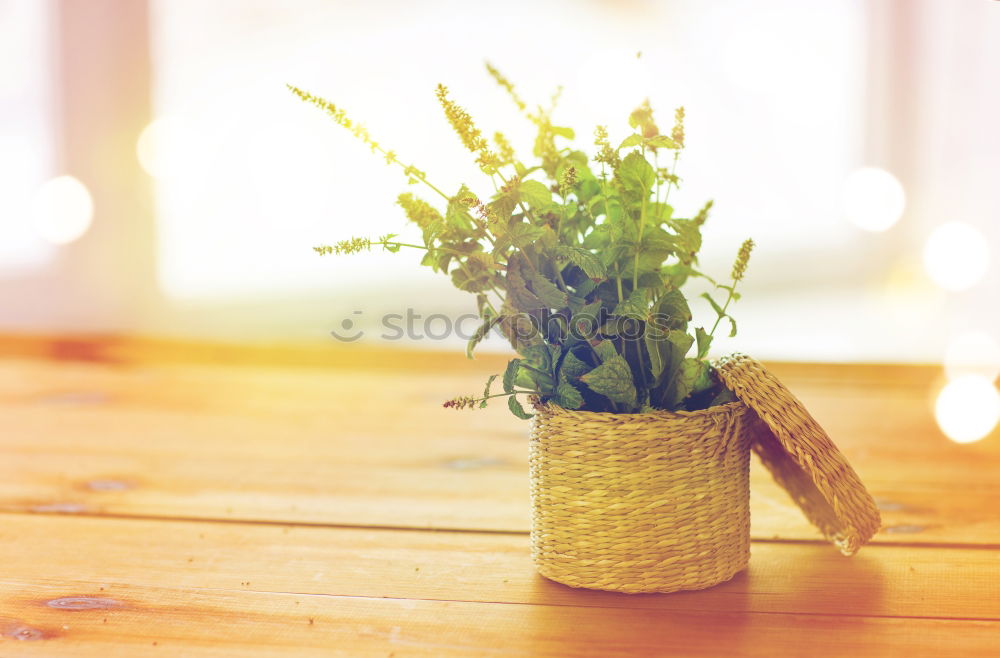 Similar – Growing vegetables in tubs on balcony