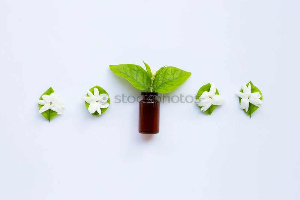 Similar – Image, Stock Photo Green facial serum with pipette and green leaves