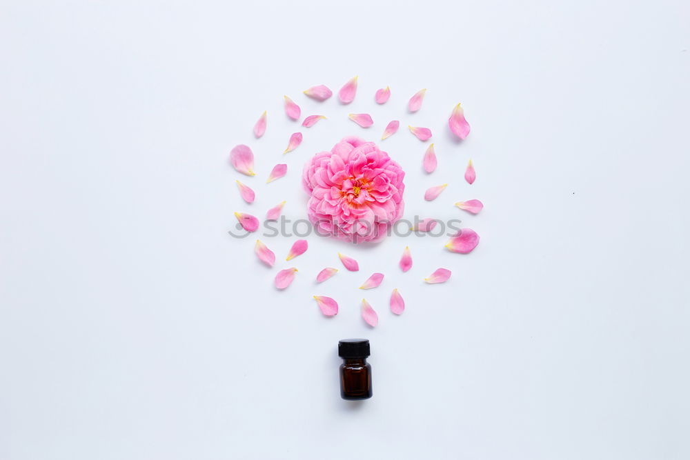 Similar – Image, Stock Photo Cosmetic bottle with pipette and flowers