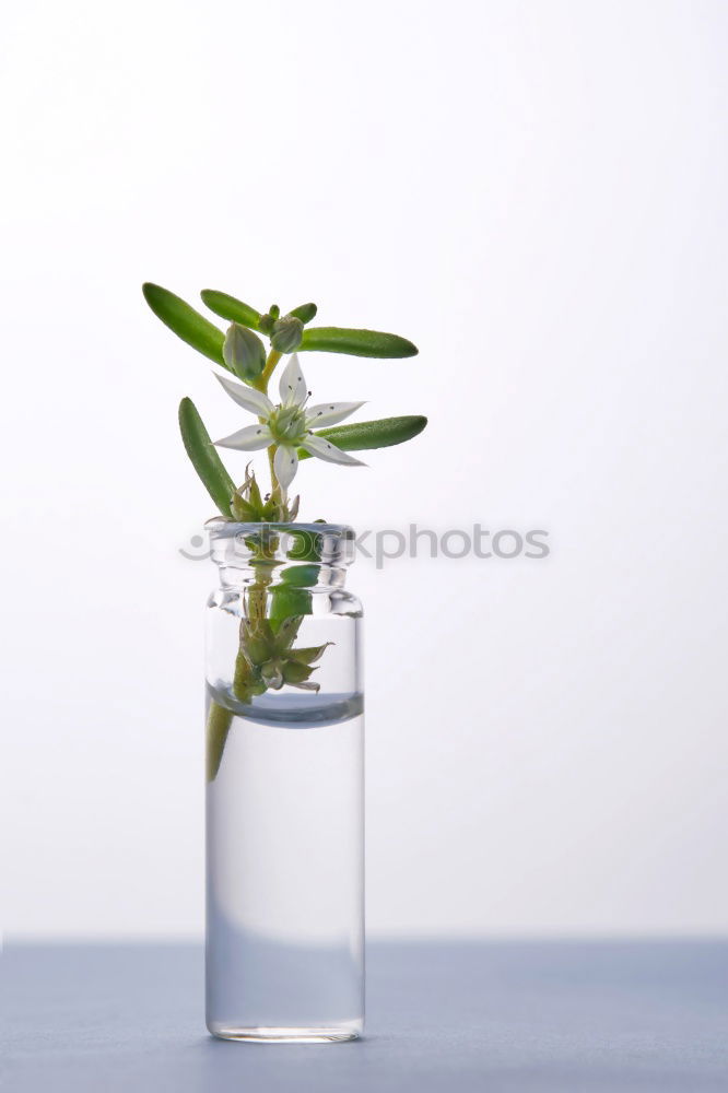 Similar – Image, Stock Photo clean Pure Transparent