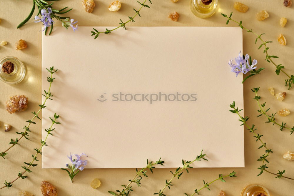 Similar – Image, Stock Photo Set of empty paper price tags, wooden background