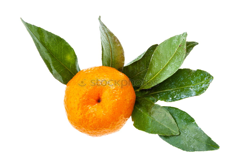 Similar – Orange fruit with green leaves on white wood