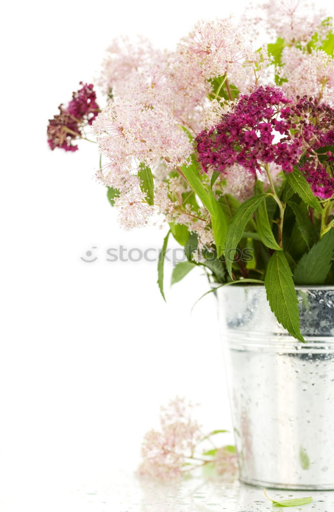 Similar – Force l full Flower Vase