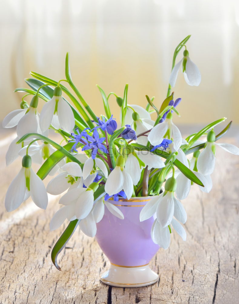 Similar – Small bouquet Decoration