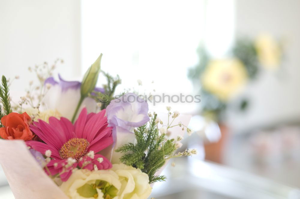 Similar – Image, Stock Photo birthday Bouquet Flower