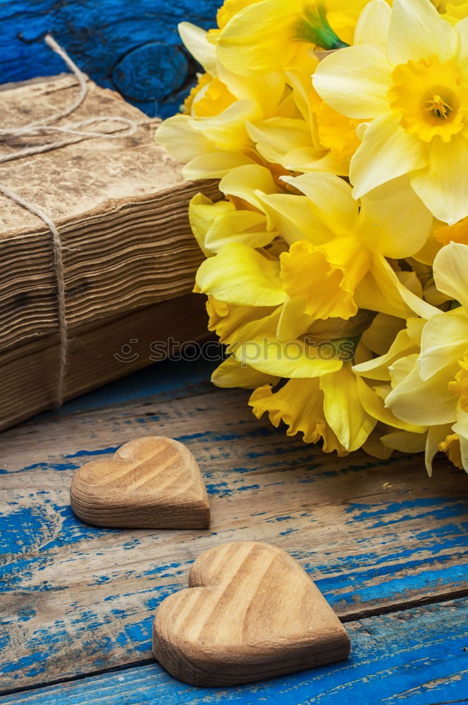 Similar – Allotment garden with primroses flowers, shovel and shield