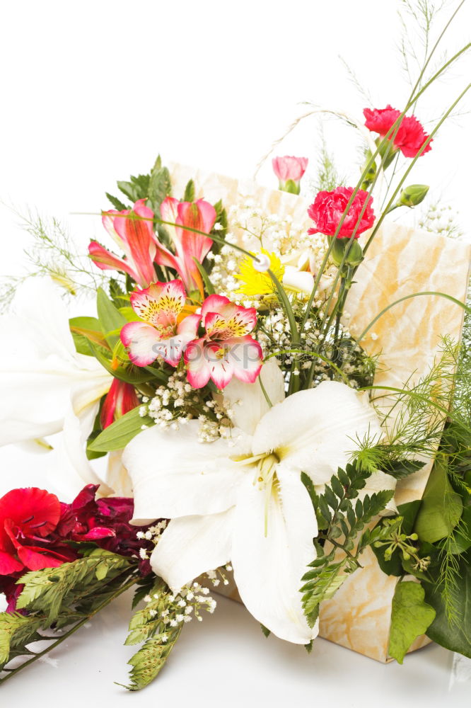 Similar – Image, Stock Photo Mother’s Day Beautiful