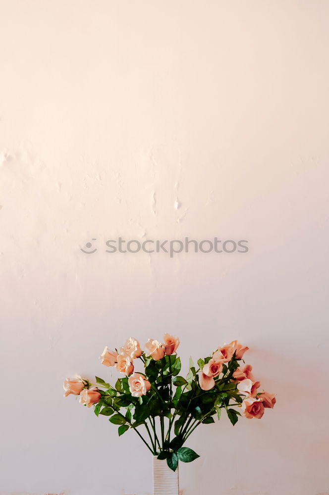 Similar – Image, Stock Photo Self-Made Table Decoration