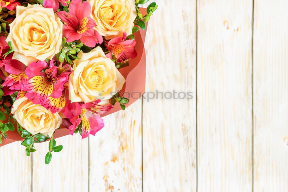 Similar – Image, Stock Photo Frame with colorful flowers