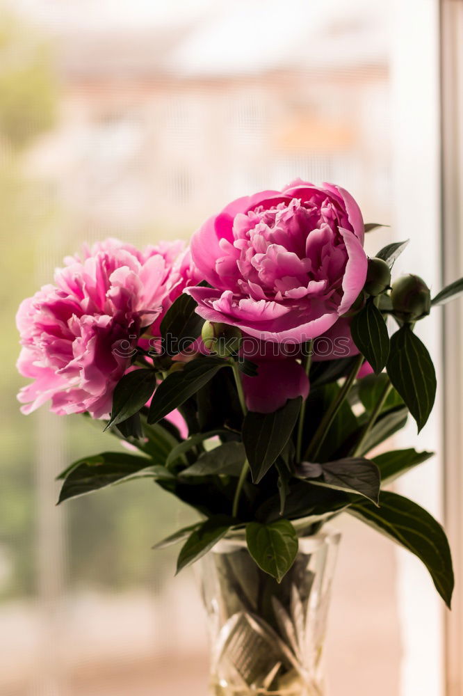 Similar – Image, Stock Photo wildflower bouquet Style