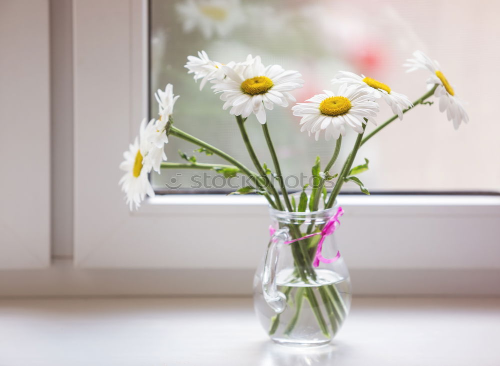 Similar – Image, Stock Photo Bouquet with wildflowers