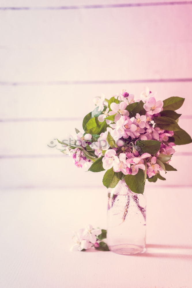 Similar – Peonies bouquet on table in living room