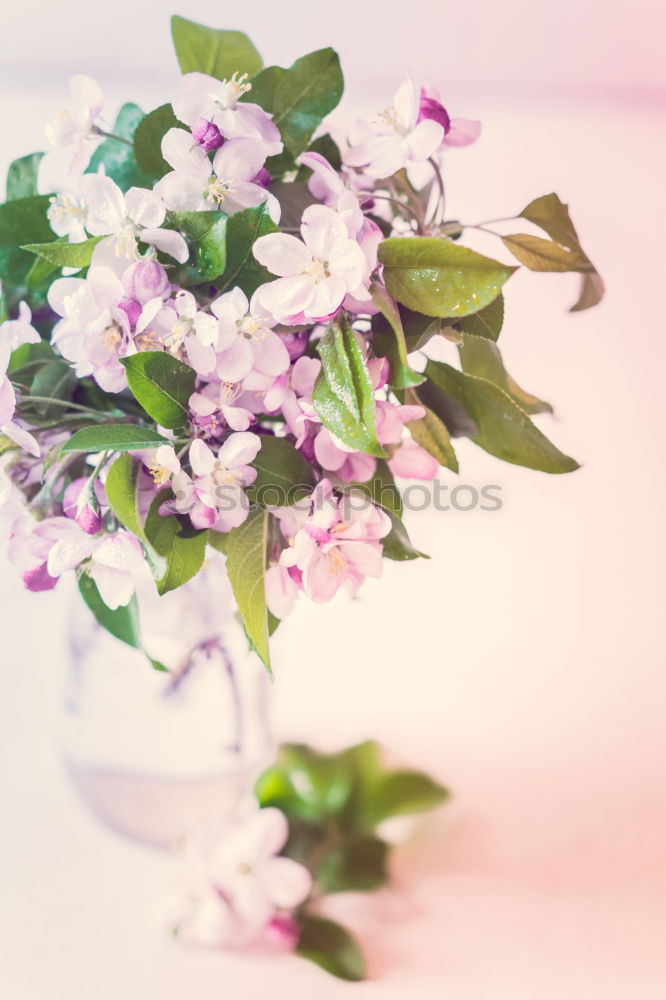 Similar – Image, Stock Photo Lilac flower strass in glass vase on the window