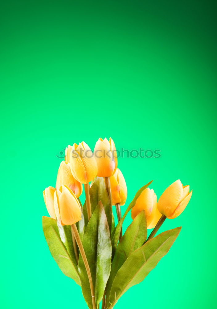 Similar – Image, Stock Photo #AS# Büdddeee! Art