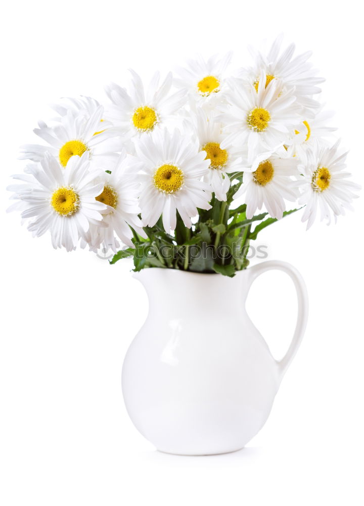 Similar – Image, Stock Photo little flowers Decoration