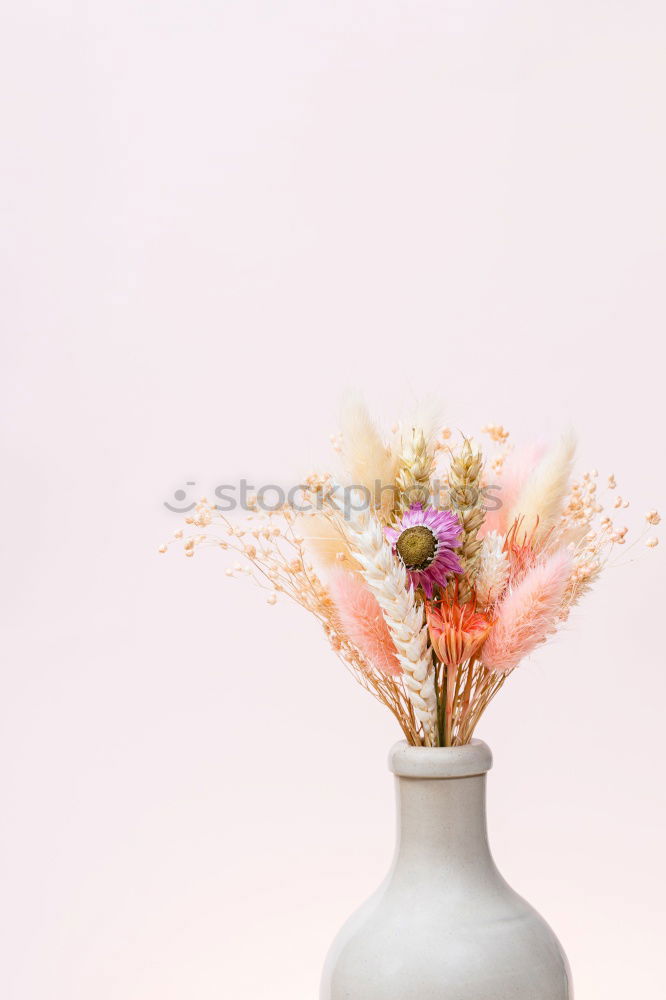 Similar – Vase with tulips on white table